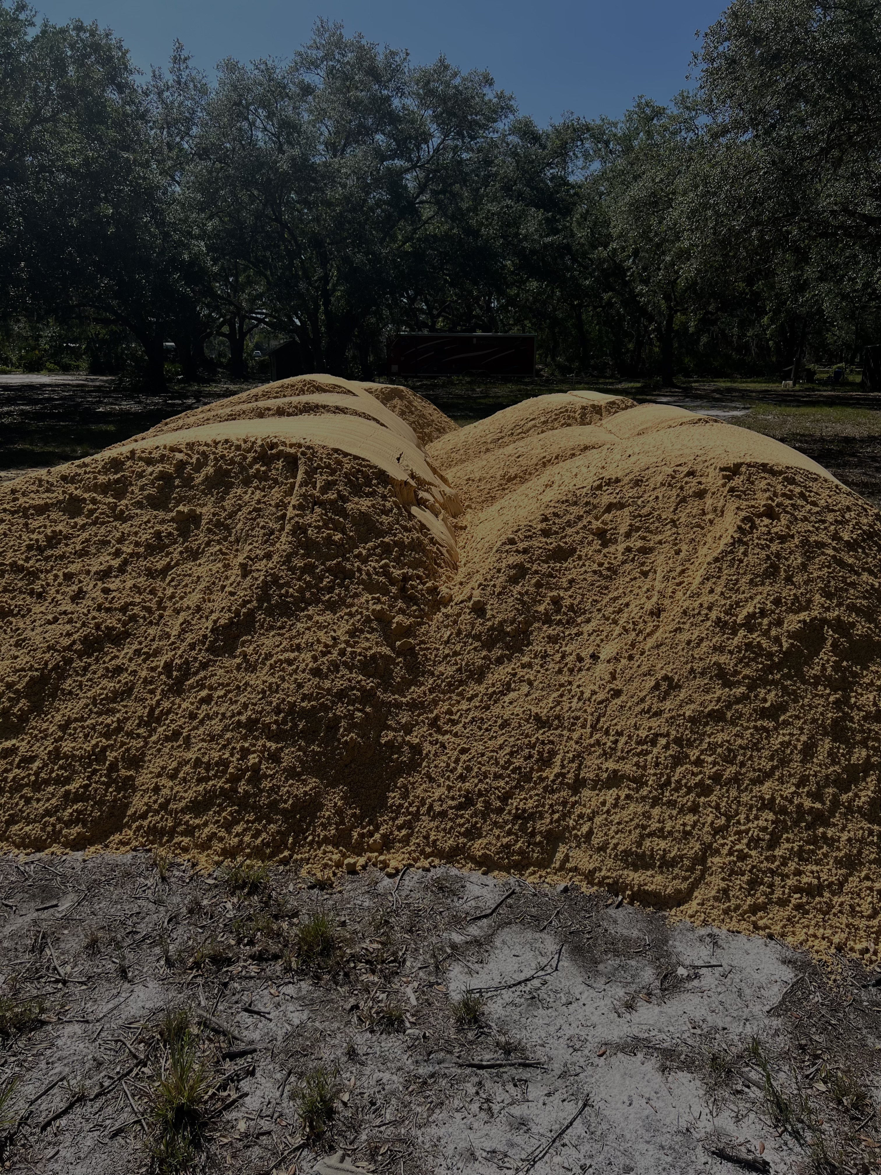 Yellow Dirt